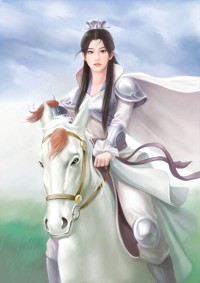 灵愿系统