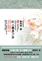 火爆丫鬟:杠上腹黑少爷