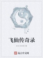 飞仙传奇录