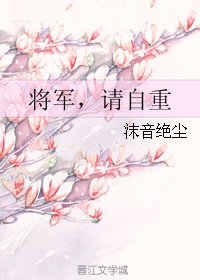 將軍,請自重