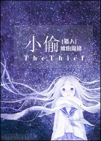 (猎人同人)小偷