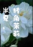 《半夏,轉角茉莉》