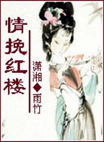 (红楼同人)情挽红楼