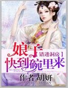《錯進洞房:娘子快到碗裡來》