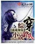 (BG-综同人)综穿小说路人