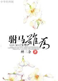 《駙馬難為(女尊)》