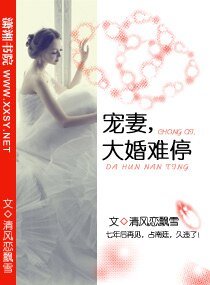 宠妻,大婚难停