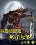 《網遊傳奇之職業玩家》