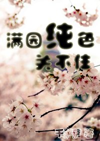 《滿園純色關不住》