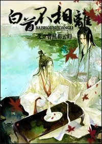 《白首不相離》