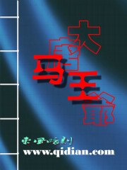 大唐馬王爺