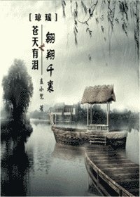 (琼瑶同人)苍天有泪之翱翔千里