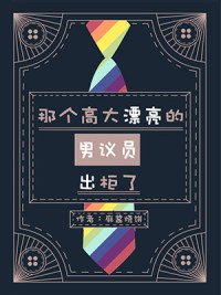 《那個高大漂亮的男議員出櫃了》