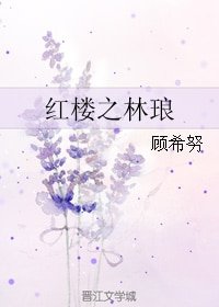 (红楼同人)红楼之林琅
