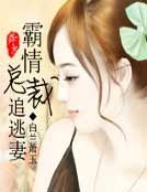 霸情总裁追逃妻