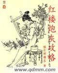 (红楼同人)红楼炮灰攻略