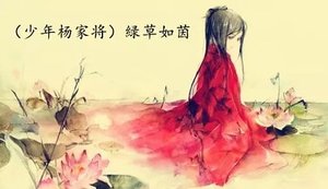(少年杨家将同人)绿草如茵