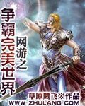 網遊之爭霸完美世界