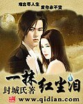 《一抹紅塵淚》