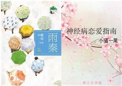 雨秦/神经病恋爱指南