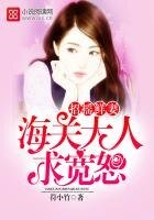 招摇鲜妻:海关大人,求宽恕