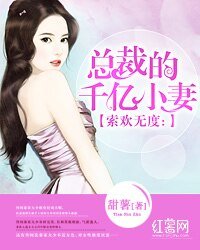 索欢无度:总裁的千亿小妻