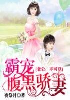 婚后AA制:腹黑老公霸宠妻