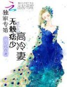 独家专婚:无赖痞少高冷妻