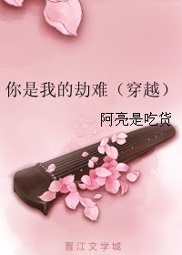 你是我的劫难(穿越)