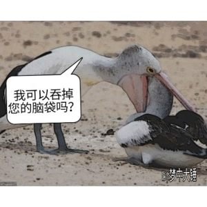 我可以吞掉您的脑袋吗?