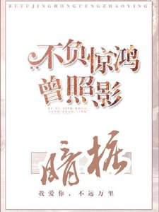 暗桩/暗桩:不负惊鸿曾照影