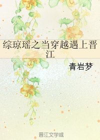 (综同人)综琼瑶之当穿越遇上晋江
