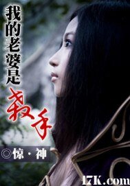 我的老婆是殺手