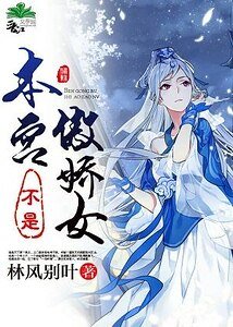 本宫不是傲娇女