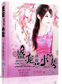 盛宠逃嫁小妻