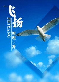 飞扬