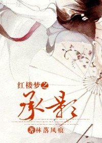 (紅樓夢同人)紅樓夢之承影