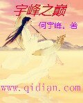 宇峰之巅