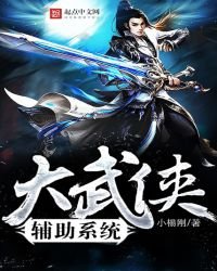 《大武俠輔助系統》