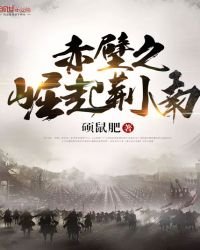 《赤壁之崛起荊南》