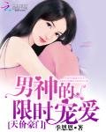 天價豪門:男神的限時寵愛