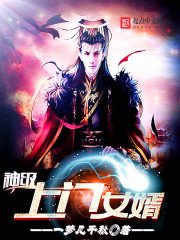 《神級上門女婿》