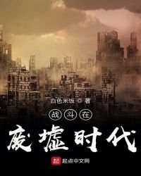 《戰鬥在廢墟時代》