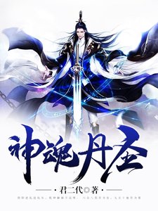 《神魂丹聖》