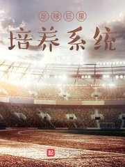 《足球巨星培養系統》