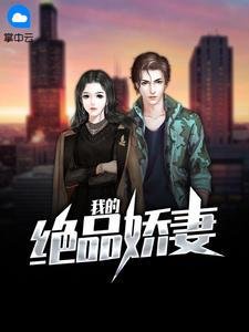 我的绝品娇妻(妻江牧阳安澜)
