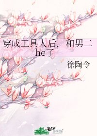 穿成工具人後，和男二he了