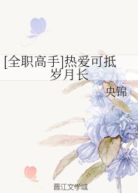 （全職高手同人）[全職高手]熱愛可抵歲月長