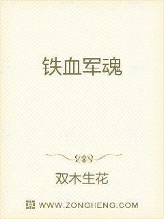 《鐵血軍魂》