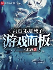 (海贼王同人)海贼:我加载了游戏面板